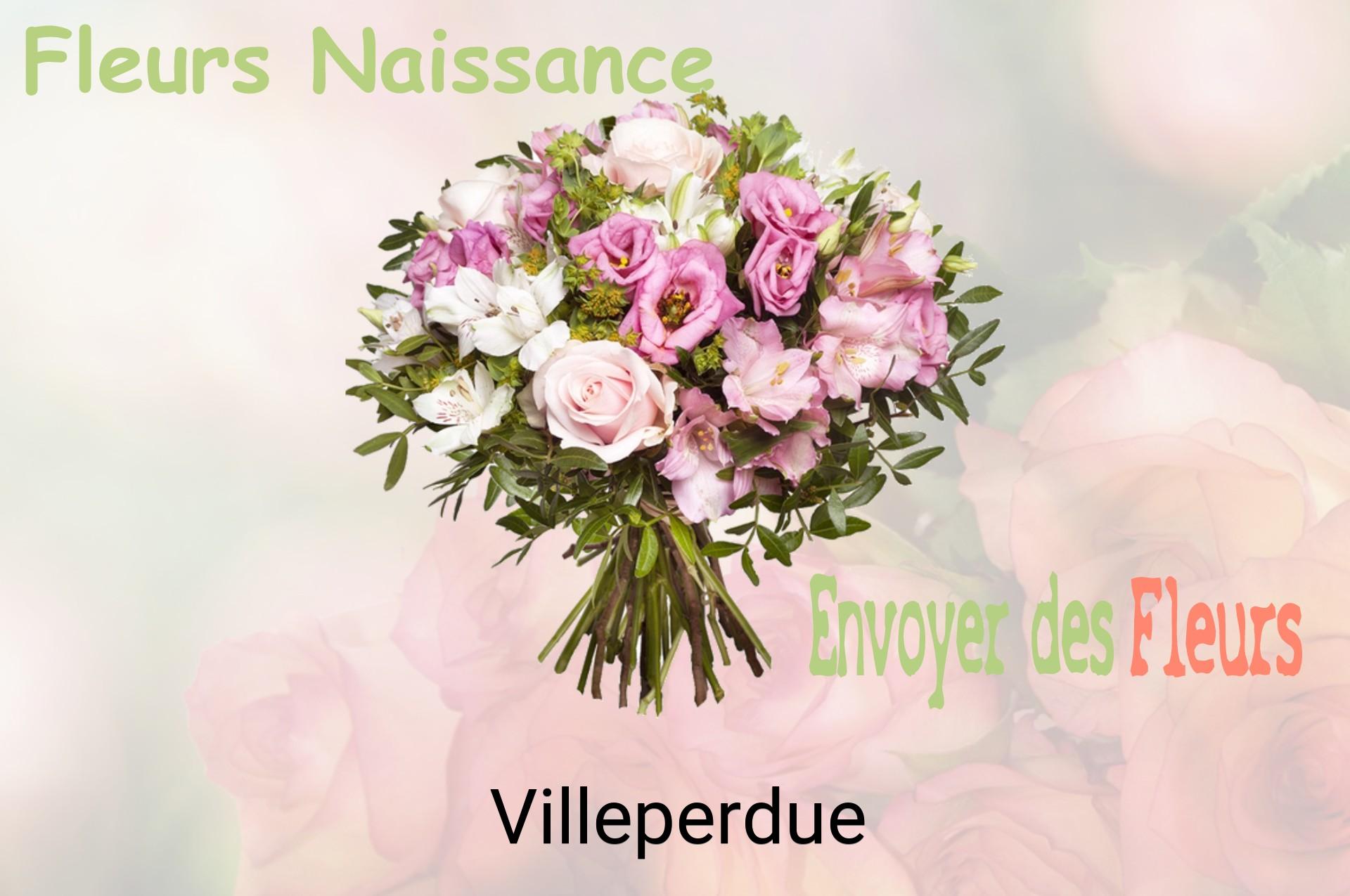 Bouquet de fleurs de naissance livré à Villeperdue